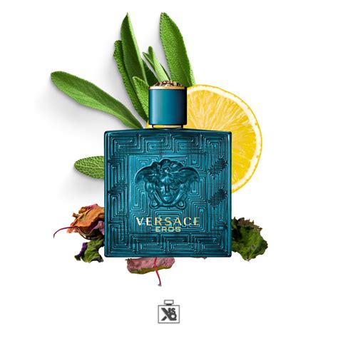 versace eros samples and decants|Eros Eau de Toilette Sample & Decants by Versace .